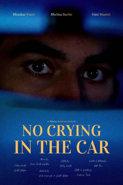 No Crying in the Car постер