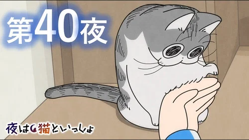 Эпизод 40