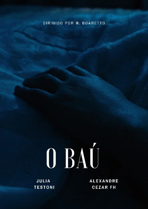 O Baú постер