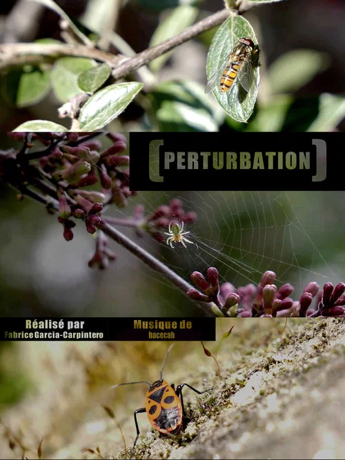 Perturbation постер
