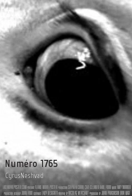 Numéro 1765 постер