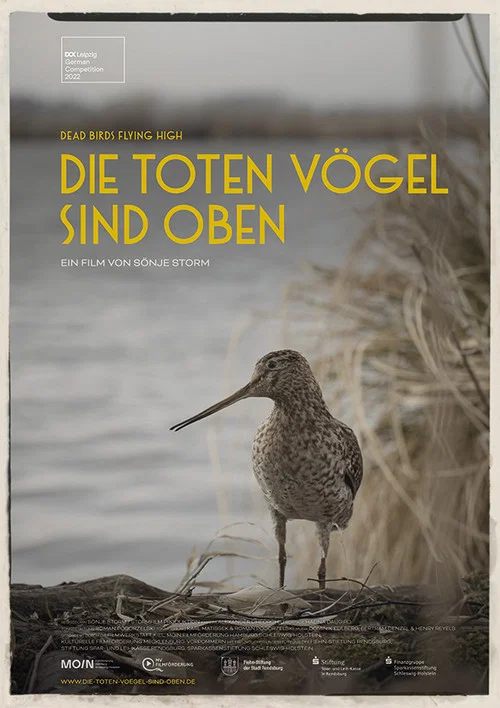 Die toten Vögel sind oben постер