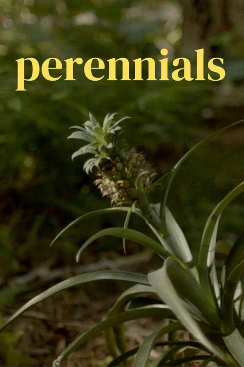 perennials постер