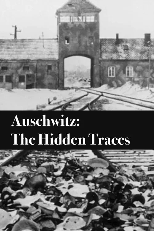 Auschwitz: The Hidden Traces постер