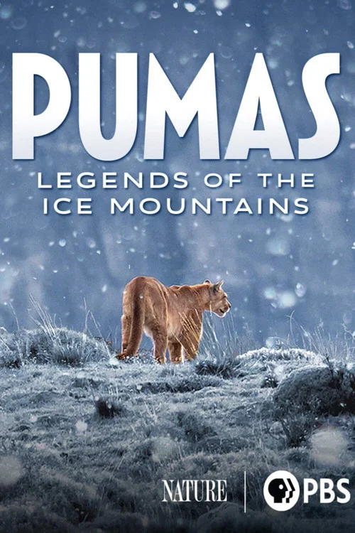 Pumas: Legends of the Ice Mountains постер