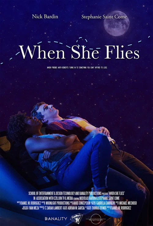 When She Flies постер