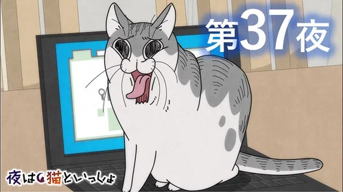 Эпизод 37