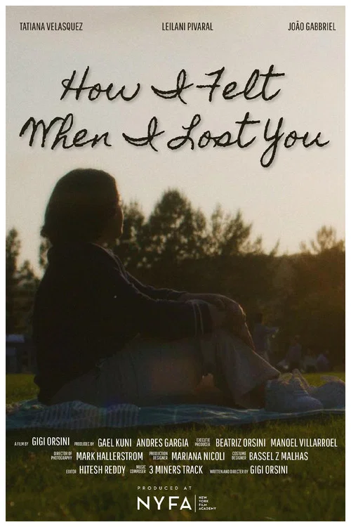 How I Felt When I Lost You постер