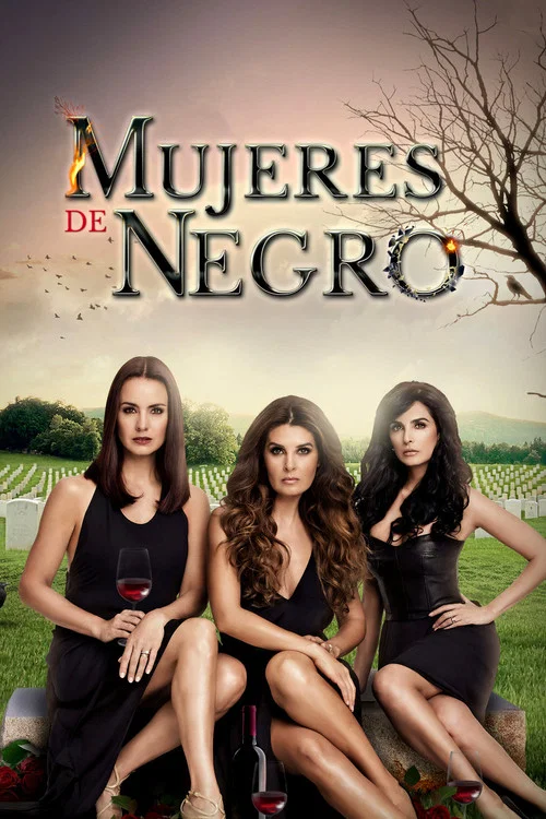 Mujeres de Negro постер
