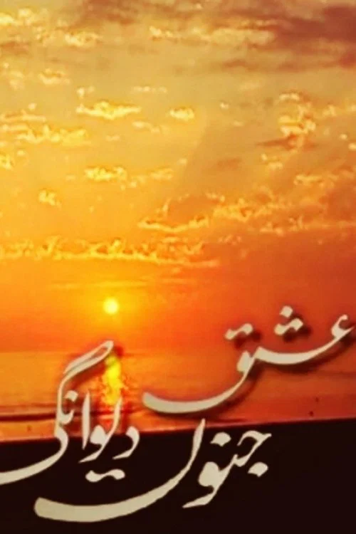عشق جنون ديوانگى постер