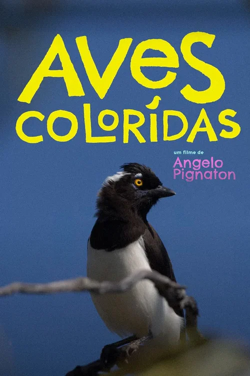 Aves Coloridas постер