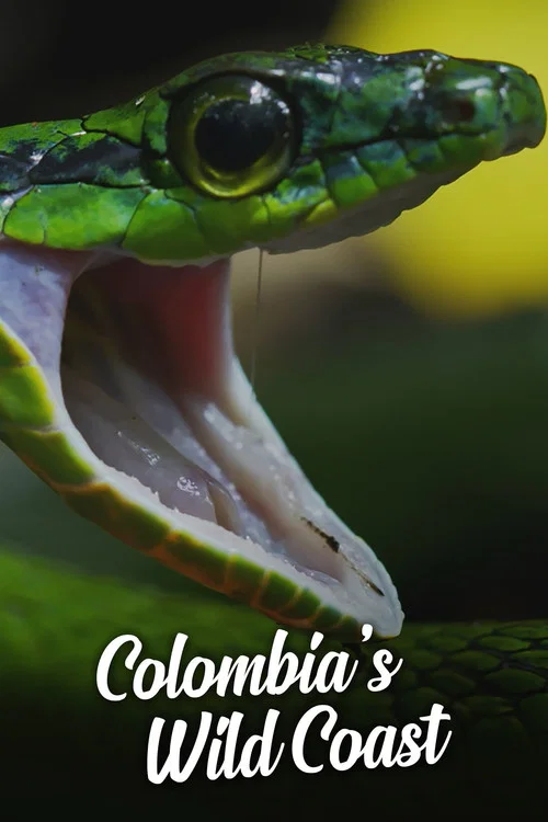 Colombia's Wild Coast постер