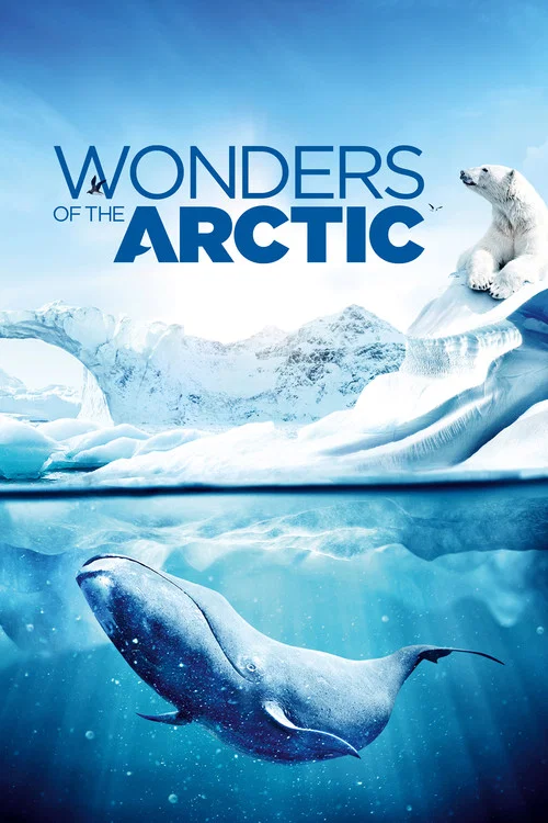 Wonders of the Arctic постер