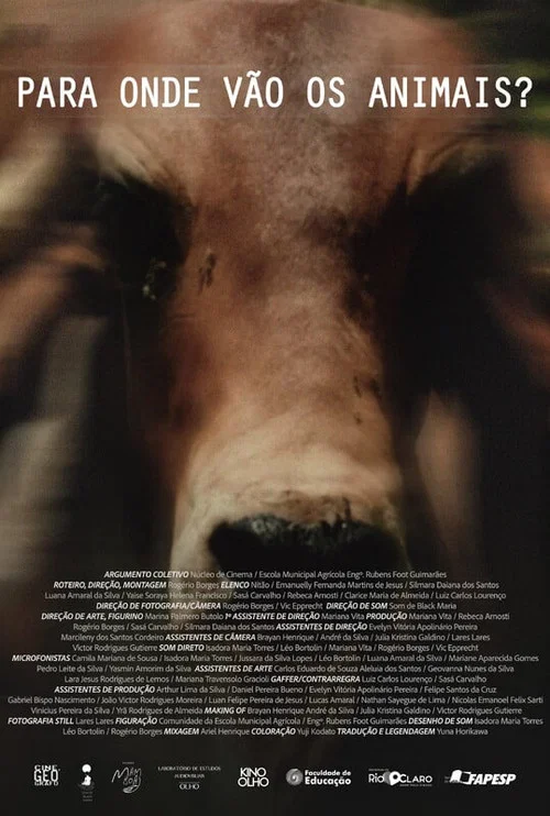 Para Onde Vão Os Animais постер