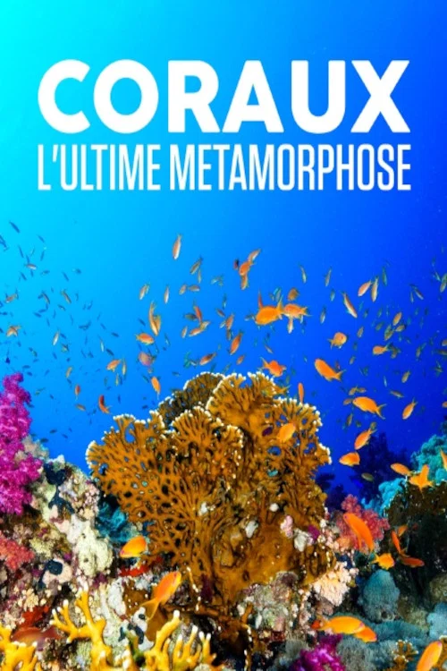 Coraux, l'ultime métamorphose постер