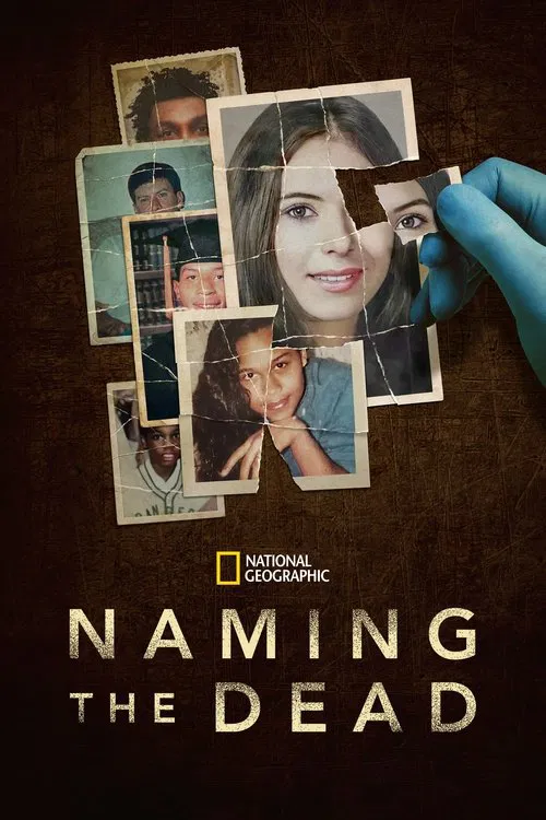 Naming the Dead постер