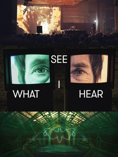 See What I Hear постер