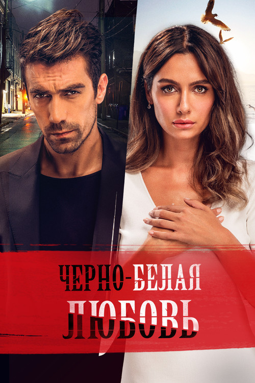 Чёрно-белая любовь постер