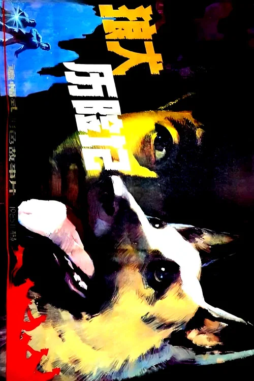 狼犬历险记 постер