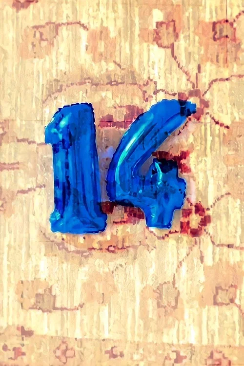 14 постер