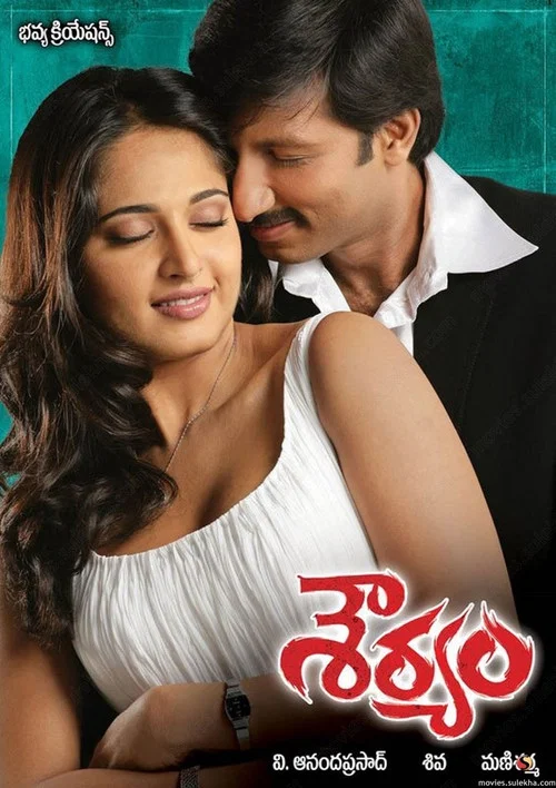 శౌర్యం постер