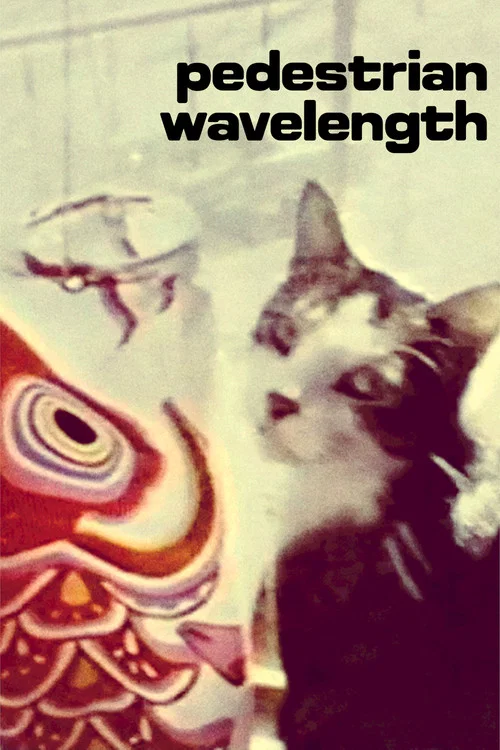 Pedestrian Wavelength постер