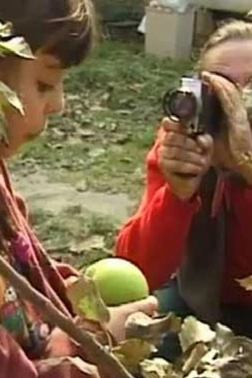 Bangla Borča постер