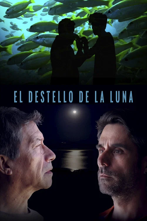 El destello de la luna постер