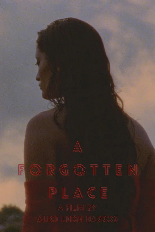 A Forgotten Place постер