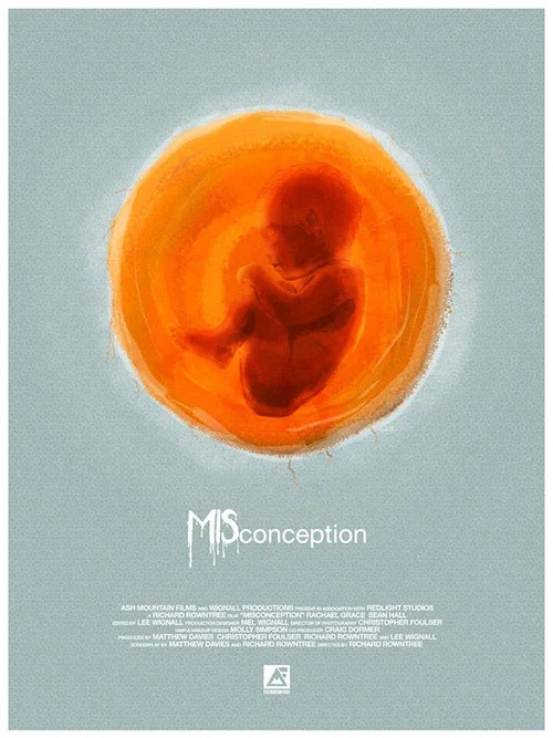 Misconception постер