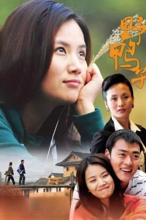 野鸭子 постер