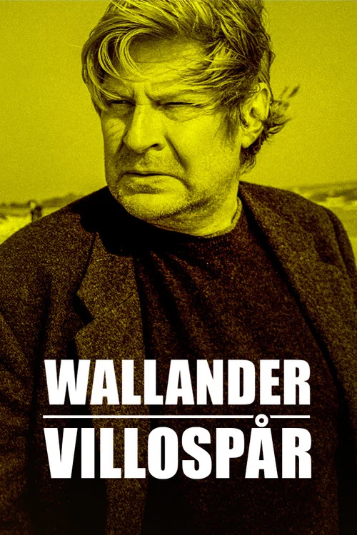 Villospår постер