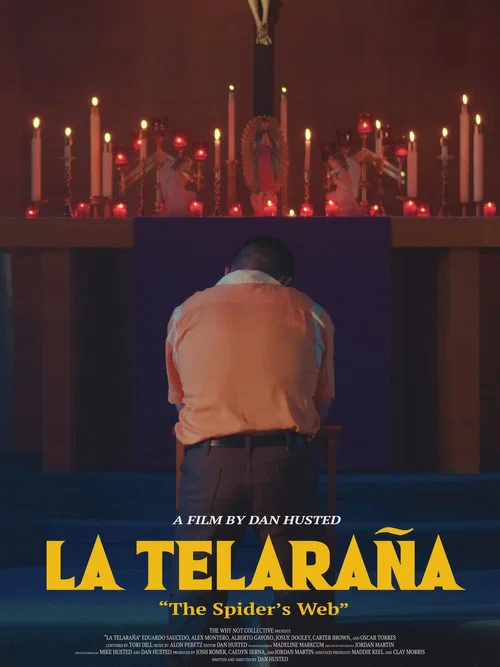 La Telaraña постер