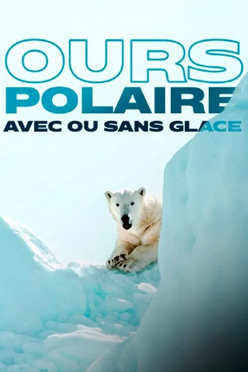 Ours polaire, avec ou sans glace ? постер