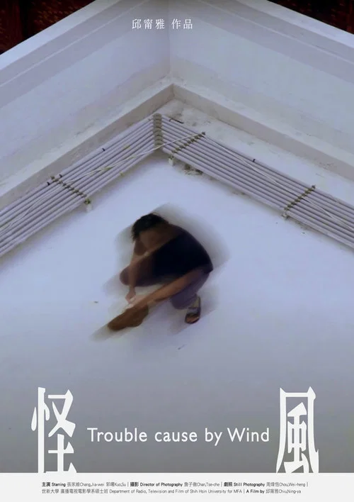 怪風 постер