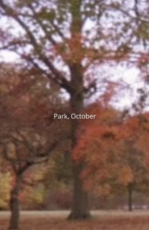 Park, October постер
