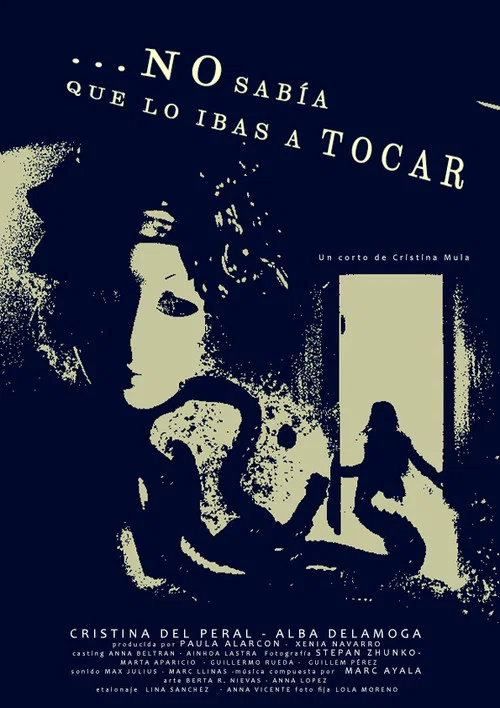 No sabía que lo ibas a tocar постер