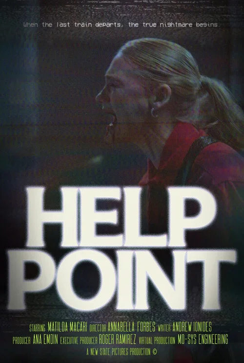 Help Point постер
