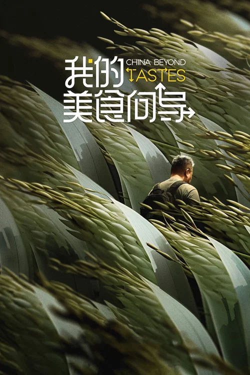 我的美食向导 постер