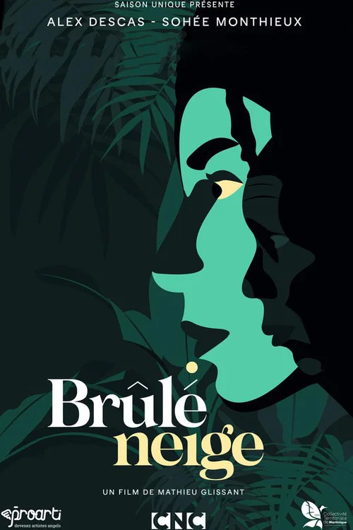 Brûlé neige постер