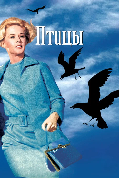 Птицы постер