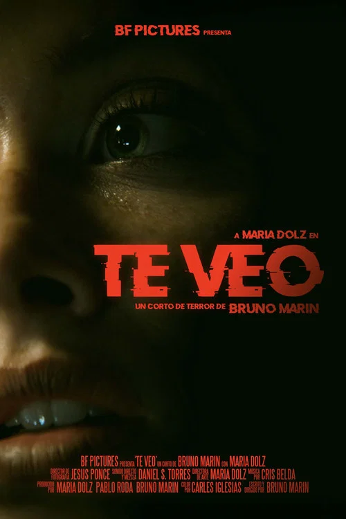Te Veo постер