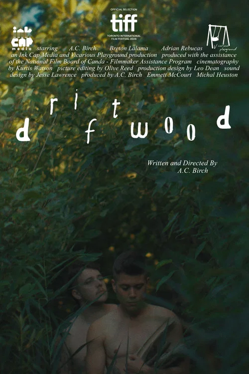 Driftwood постер
