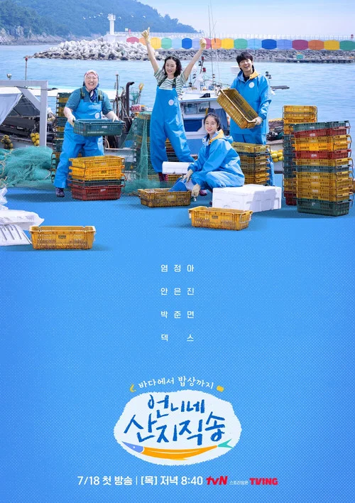 언니네 산지직송 постер