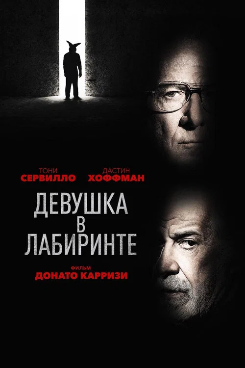 Девушка в лабиринте постер