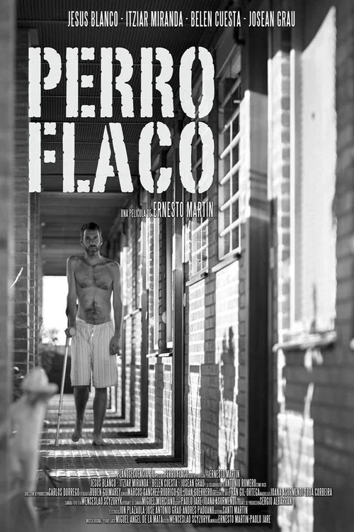 Perro flaco постер