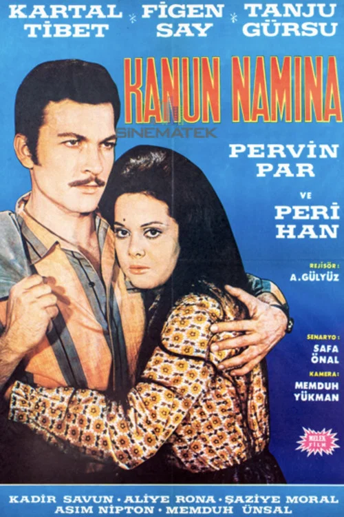 Kanun Namına постер