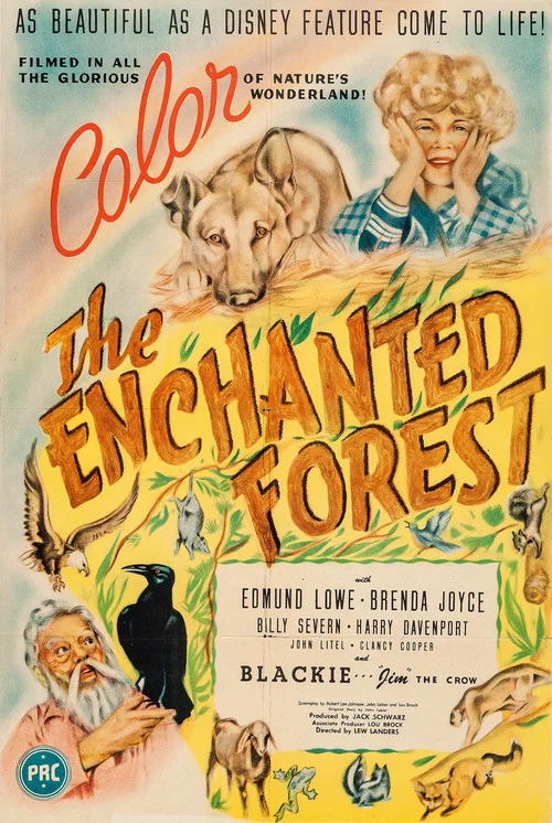 The Enchanted Forest постер
