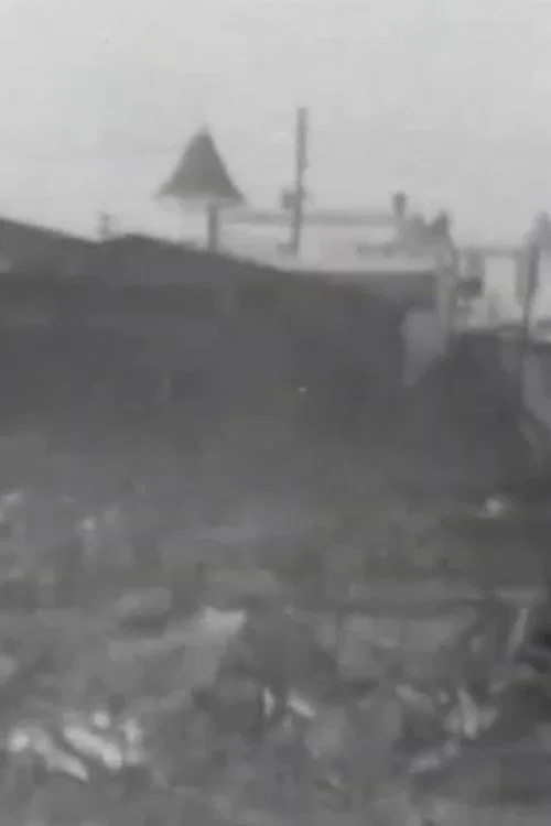 The Great Fire Ruins, Coney Island постер
