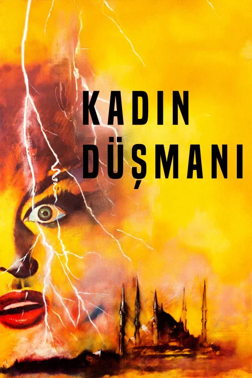 Kadın Düşmanı постер